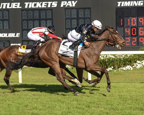 Surprisingly wins the Endeavour Stakes on Saturday, January 4, 2023 at Tampa Bay Downs