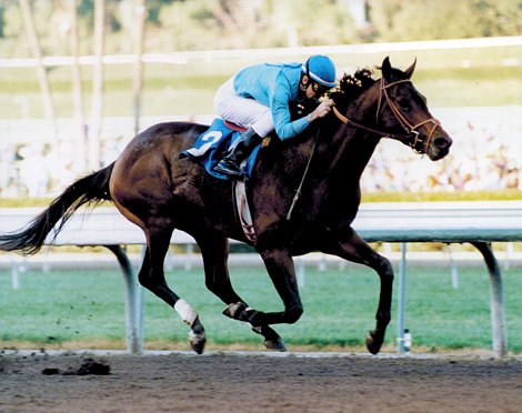 Afternoon Deelites won Malibu Stakes 1995 at Santa Anita