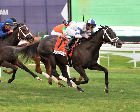 Cairo Consort Wins Sweetest Chant Share of 2023 at Gulfstream Park