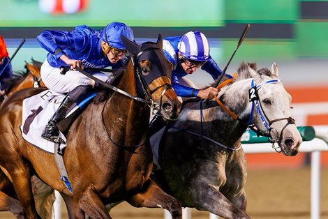 Valiant Prince wins Singspiel Stakes in 2023 at Meydan