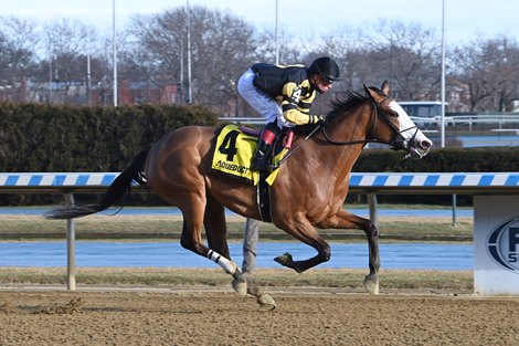 Ziaerati - Maiden Win, Aqueduct, January 15, 2023