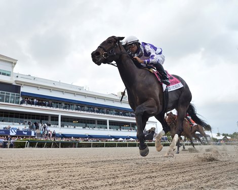 Red Carpet Ready wins the 2023 Forward Gal Stakes at Gulfstream Park