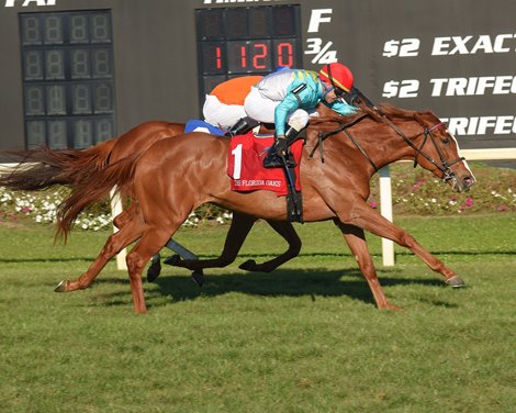 Mission of Joy wins the Florida Oaks on Saturday, March 11, 2023 at Tampa Bay Downs