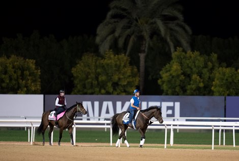 Oisin Murphy riding Perriere (L) at Meydan Dubai 22.3.23 Pic: Edward Whitaker