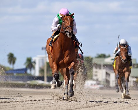 Accede - Maiden Win, Gulfstream Park, March 16, 2023