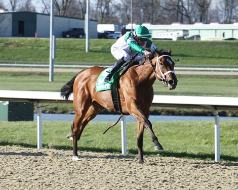 Plant Victory 2023 Bourbonette Oaks at Turfway Park