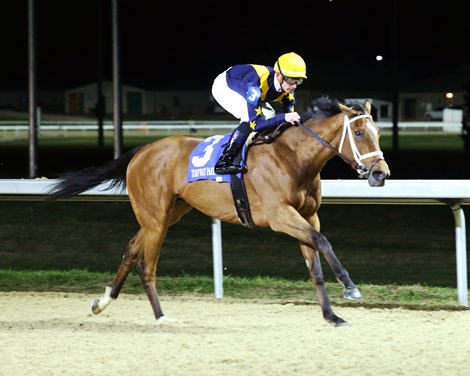 Winning Plants 2023 Cincinnati Trophy Stakes at Turfway Park