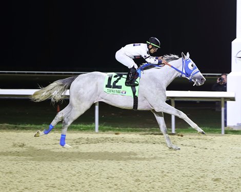 Congruent wins 2023 John Battaglia Memorial Stakes at Turfway Park