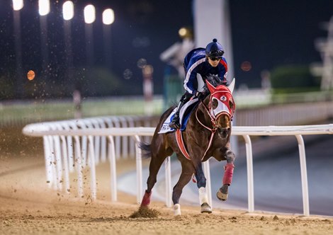 Bathrat Leon - Morning Trackwork - Meydan, March 22, 2023