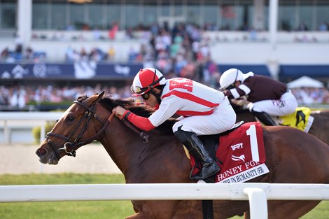 Faith in Humanity wins the 2023 Honey Fox Stakes at Gulfstream Park
