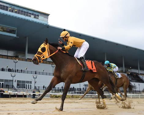 Little Vic wins the 2023 Tom Fool Handicap at Aqueduct