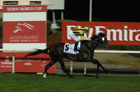 Christophe Lemaire and Heart's Cry win the Sheema Classic at Nad Al Sheba on March 25th, 2006