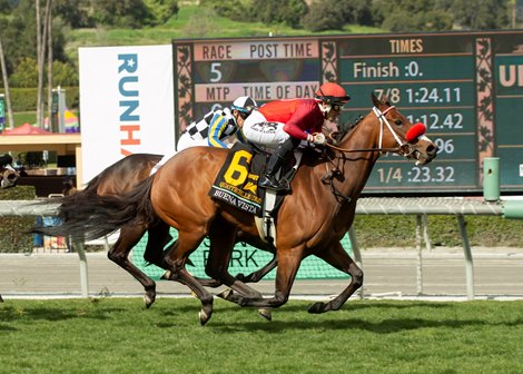 Irish-bred Quattroelle (#6) and jockey Hector I. Berrios make a late move on the outside to get up for victory in the G2T, $200,000 Buena Vista Stakes Saturday, March 4, 2023 at Santa Anita Park, Arcadia, CA.<br>
Benoit Photo