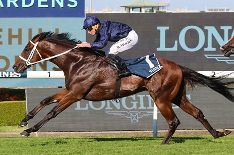 Shinzo wins the 2023 Golden Slipper at Rosehill Gardens Racecourse<br><br />
ridden by Ryan Moore and trained by Chris Waller