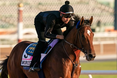 Worcester, UAE Derby, Track work, Meydan Racecourse, Dubai UAE, March 23, 2023, Mathea Kelley