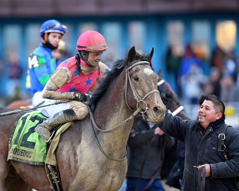 Raise Cain wins the 2023 Gotham Stakes at Aqueduct