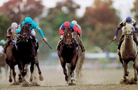 2001 Breeder's Cup sprint in Belmont with the Xtra Heat (centre) leading and eventual winner Squirtle Squirt on the left.