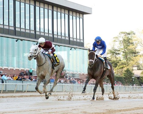 Wicked Halo wins the 2023 Matron Stakes at Oaklawn Park