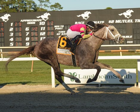 Tapit Trice wins the Tampa Bay Derby on Saturday, March 11, 2023 at Tampa Bay Downs