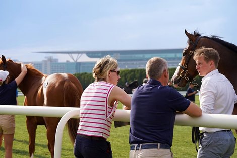 Scene, 2023 Dubai Breeze-Up Sale