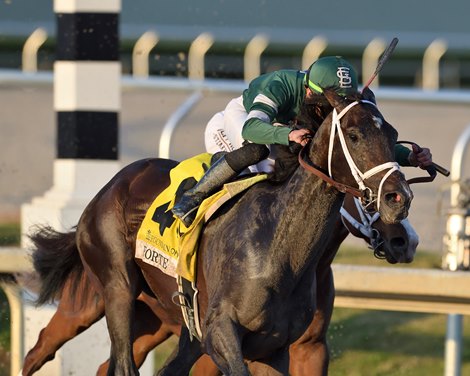 Forte wins the 2023 Fountain of Youth Stakes at Gulfstream Park