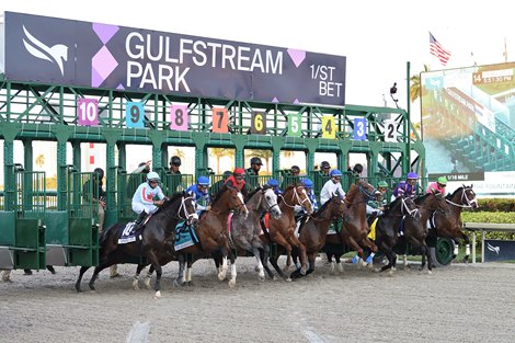 Forte wins the Fountain of Youth Stakes on Saturday, March 4, 2023 at Gulfstream Park