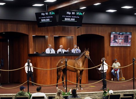 Hip 95 in the ring at the OBS March Sale 2023 in Ocala, FL