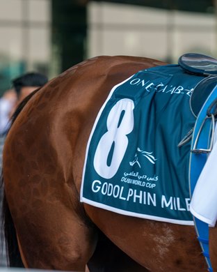 Isolate, Tyler Gaffalione, Godolphin Mile, trackwork, Meydan Racecourse, Dubai UAE, March 25, 2023, Mathea Kelley