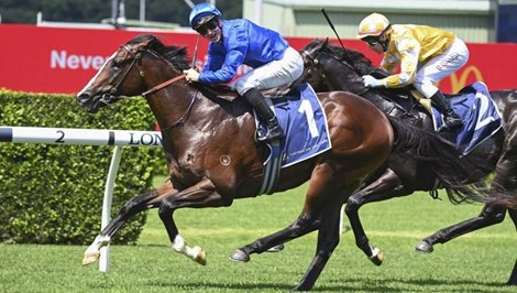 Cylinder wins the 2023 Todman Stakes at Royal Randwick