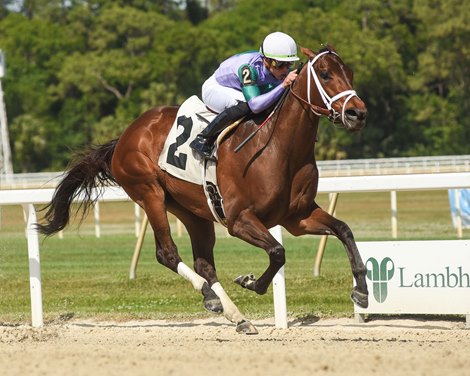 Munnys Gold wins 2023 Sophomore Fillies Stakes at Tampa Bay Downs