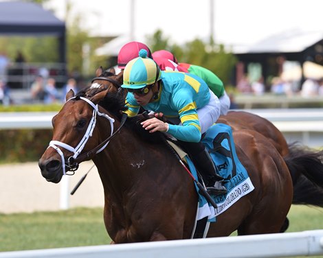 Dude N Colorado wins the 2023 Colonel Liam Stakes at Gulfstream Park