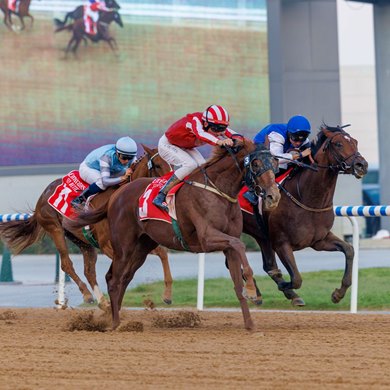 Go Soldier Go wins the 2023 Al Bastakiya at Meydan