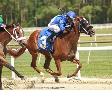 My Eagle Soars breaks his maiden while trainer Kathleen O&#39;Connell becomes North America&#39;s all-time winning female trainer on Sunday, March 12, 2023 at Tampa Bay Downs