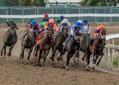 3/25/2023 - Kingsbarn leads the field into the Fair Grounds Stretch and goes on to capture the 110th running of the Grade II Louisiana Derby.  Hodges Photography / Jan Brubaker