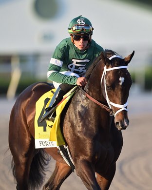 Forte wins the 2023 Fountain of Youth Stakes at Gulfstream Park