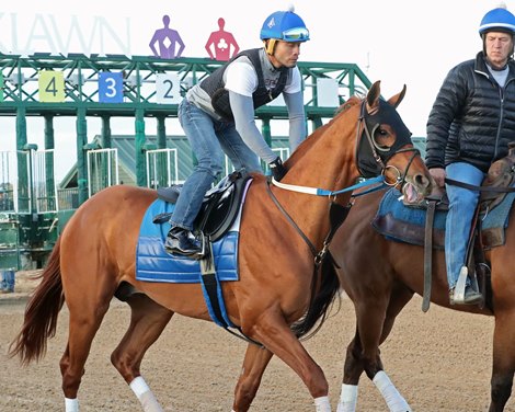 Red Route One - Gate Schooling - Oaklawn Park - 03-30-23