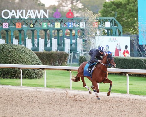 Red Route One - Work - Oaklawn Park - 03-27-23