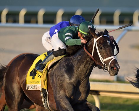 Forte won the Fountain of Youth Stakes on Saturday, March 4, 2023 at Gulfstream Park