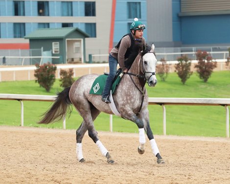 Rocket Can - Galloping - Oaklawn Park - 03-31-23