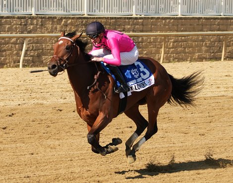 Lady Lowery wins 2023 Beyond The Wire Stakes at Laurel Park