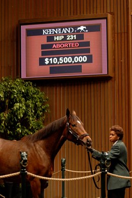 Caption: Hip 231 Playful Act in foal to Kingmambo brings $10.5 million.<br>
Horses and scenes at Keeneland November sales in Lexington, Ky. on Nov. 5, 2007.<br>
Mon04 image 1978<br>
Photo by Anne M. Eberhardt