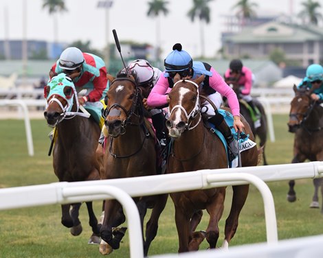 Danse Macabre wins the 2023 Herecomesthebride Stakes at Gulfstream Park