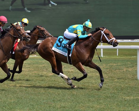 Dude N Colorado beat Colonel Liam Stakes in 2023 at Gulfstream Park