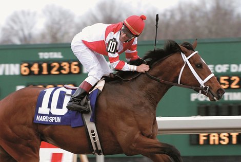 Hard Spun, #10, wins the Lane's End STakes (gr. II) at Turfway Park on March 24, 2007, in Florence, Kentucky.