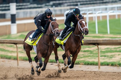 Kingsbarns - Major Dude  - Work - CD - 042923
