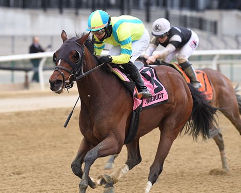 Mommasgottarun wins the 2023 Distaff Handicap at Aqueduct