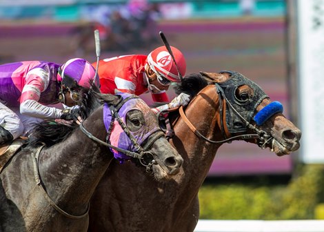 Practical Move and jockey Ramon Vazquez, inside, nose out Mandarin Hero, #8, (Kazushi Kimura), middle, and Skinner, #7, (Victor Espinoza), outside, for victory in the Grade I $750,000 Runhappy Santa Anita Derby Saturday, April 8, 2023 at Santa Anita Park, Arcadia, CA.<br><br />
Benoit Photo