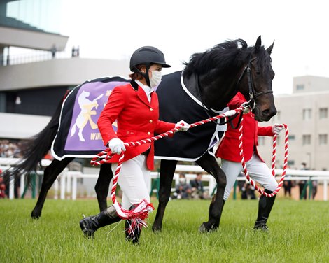 Justin Palace wins the Tenno Sho (Spring) on Sunday, April 30, 2023 at Kyoto Racecourse