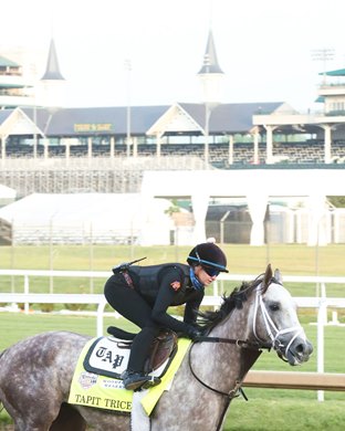 Tapit Trice - Gallop - Churchill Downs - 04-27-23 Tapit Trice - Gallop - Churchill Downs - 04-27-23