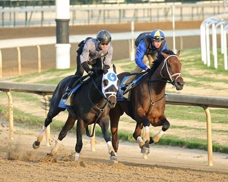 The Alys Look and Wet Paint breezed together at Churchill Downs